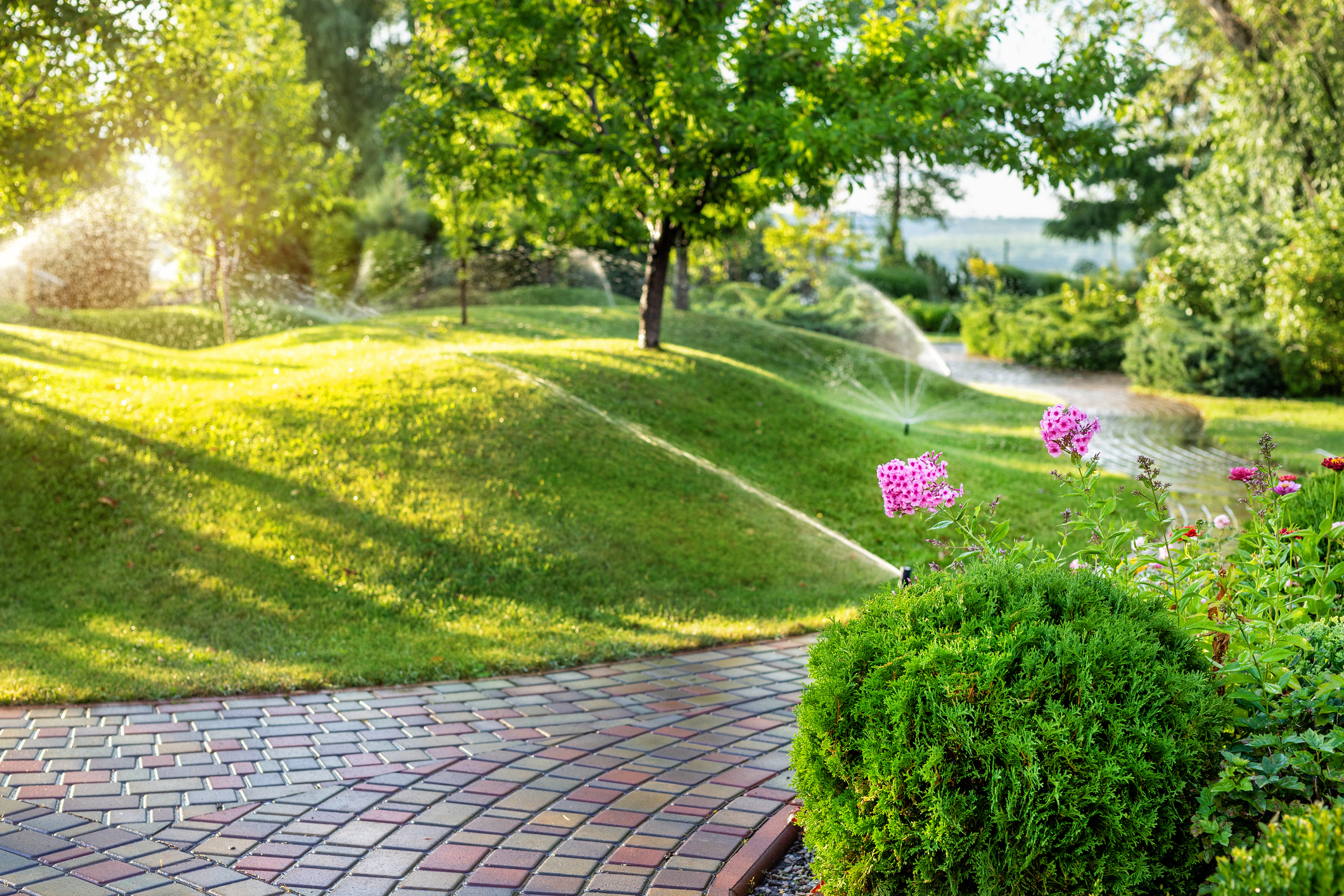 Power Raking vs Dethatching for Detroit Lakes Lawns